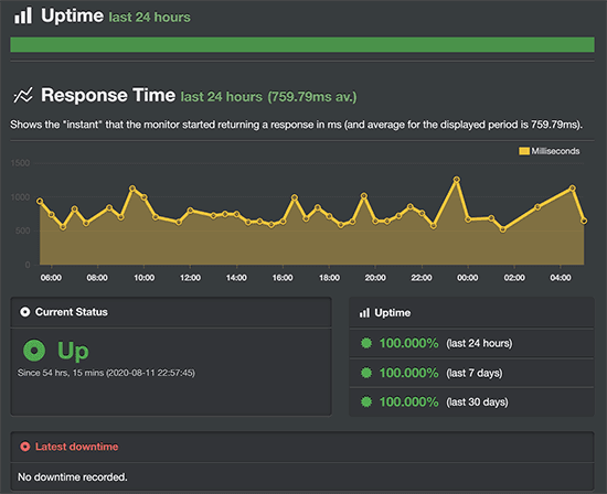 Bluehost uptime monitoring test result